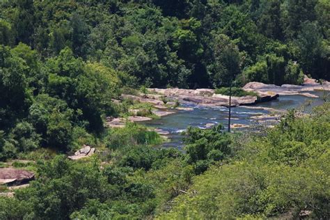 Flow Of Shallow Water Stream Free Stock Photo - Public Domain Pictures