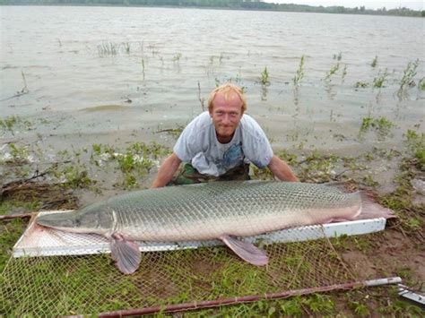 254-pound alligator gar is the largest fish ever caught in Oklahoma - Men's Journal