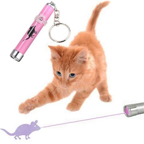 LED Laser Pointer Cat Toy – iPetStuff