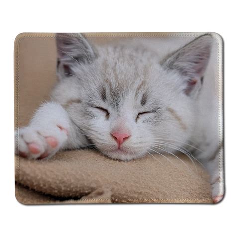 Best Sales Customized Mouse Pad Animals Cats Keyboards Kittens Computer Notebook Rectangle ...