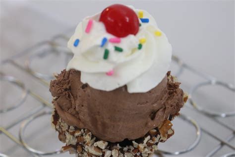 Chocolate Ice Cream - Our Fantastic Recipes our fantastic recipes home ...