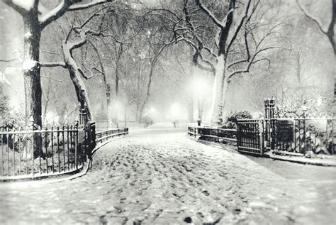 Through the Lens: Snow in NYC | SheWalksSoftly