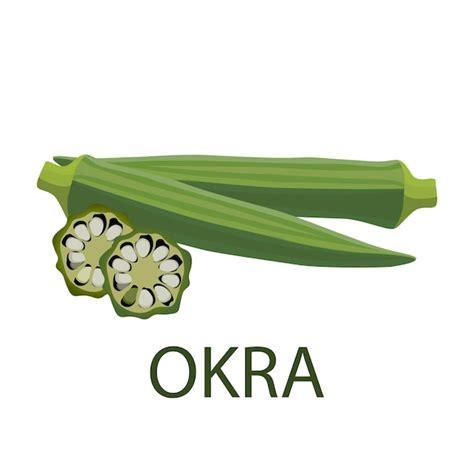 Premium Vector | Okra vector illustration vector on white background