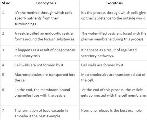 Exocytosis and Endocytosis Study Guide | Inspirit