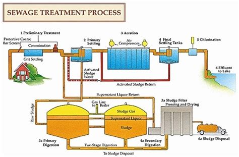 Sewage treatment chemical provider in Lucknow, India - Ecol Agro