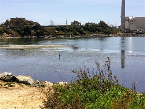 Hubbs Trail Tour at Agua Hedionda Lagoon – San Diego Beach Secrets