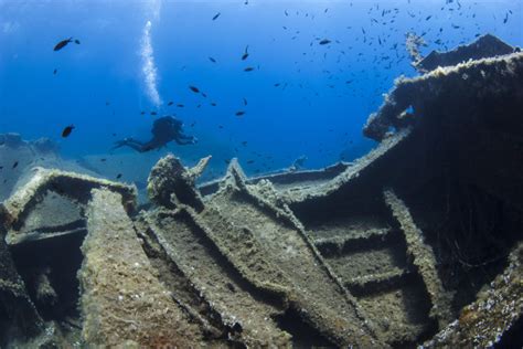 Diving vacations in Greece, at the enchanting seabed of Andros