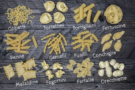 Types of Pasta: Discover Delightful Varieties & Shapes! + Lifestyle Manual