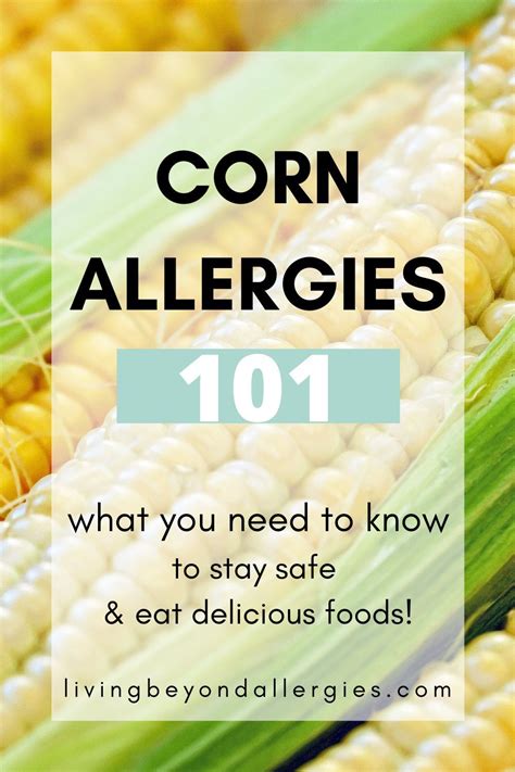 Corn Allergy - What You Need to Know | Corn free recipes, Corn allergy ...