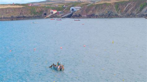 Seaweed Farming in the UK: A Growing Industry and Its Local Economic ...