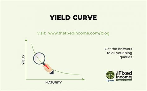 Demystifying the Yield Curve: Market Insights