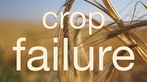 Crop Failure - YouTube