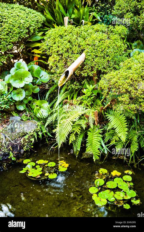 Japanese garden, Kyoto, Japan Stock Photo - Alamy