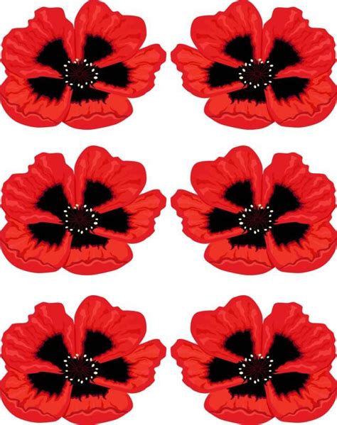 Learn How To Make A Veterans Day Poppy