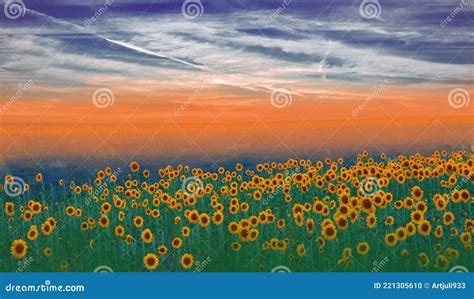 Sunflower Field, Summer Sunset.Beautiful Nature Background.Artistic ...