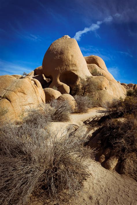 Skull Rock, Joshua Tree National Park [3456x5184] | National parks, Joshua tree national park ...