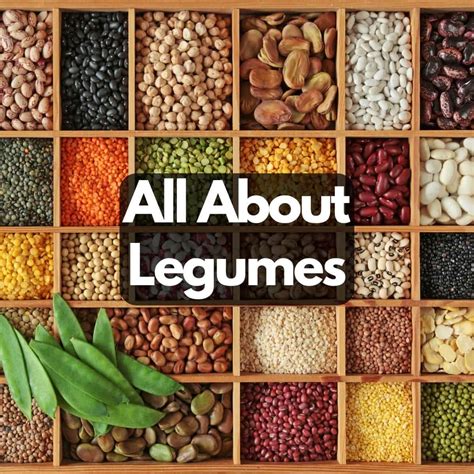 All About Legumes - List, Guide, Info - Veggie Desserts