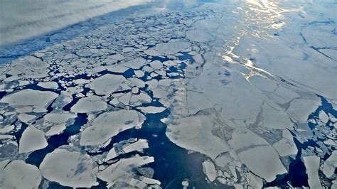 Arctic sea ice has been in decline for decades, according to a new scientific paper | National ...