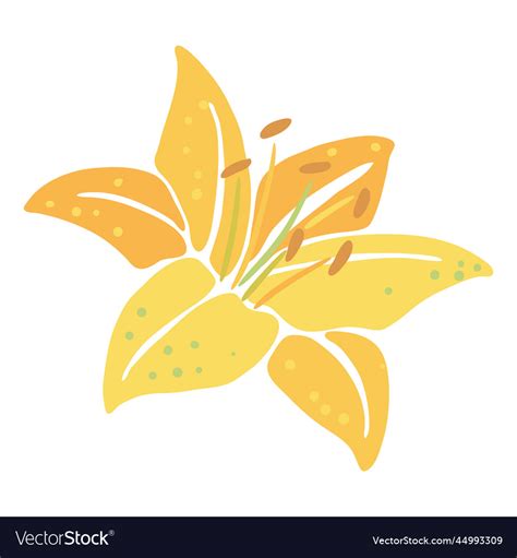 Lily flower beautiful decorative Royalty Free Vector Image