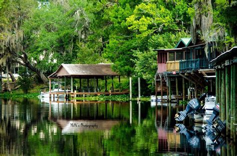 Parramore's Fantastic Fish Camp & Family Resort - 2 Photos - Astor, FL