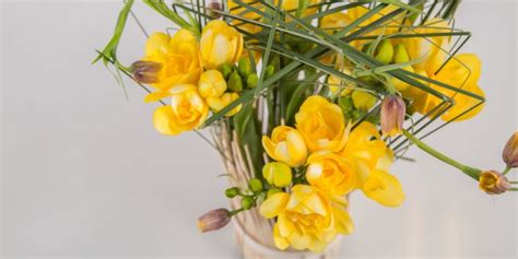 Freesia flower arrangement ideas | Flower Factor