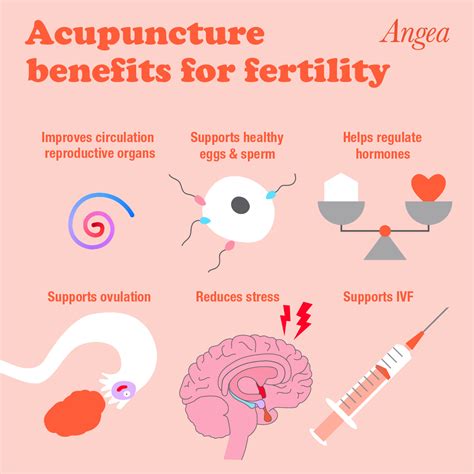 Acupressure Points For Fertility