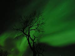 Northern Lights, Tromso | Chase the Northern Lights around t… | Flickr