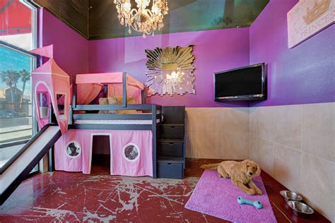 Lowest Price in Pet Boarding & Daycare | LV Dog Resort