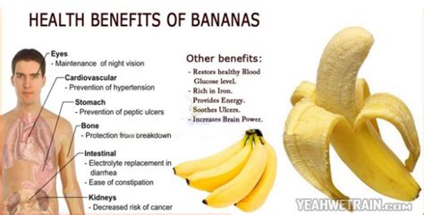 health benefits of bananas - My Daily Magazine - Art, Design, DIY, Fashion and Beauty