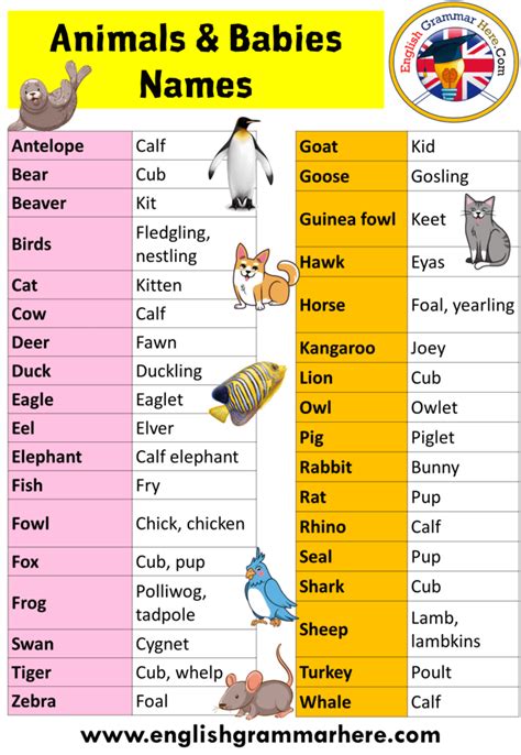 Animals Babies Names, Animals and Their Young Ones, Definition and Examples Animals Babies Names ...