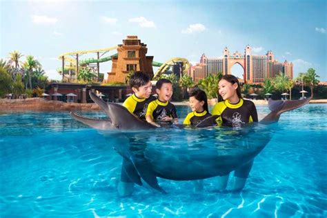 Dubai: Dolphin Encounter Ticket at Atlantis Waterpark | GetYourGuide