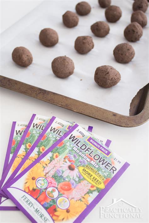 How To Make Wildflower Seed Bombs With Air Dry Clay