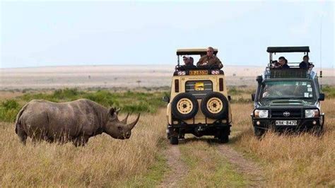 Visiting Masai Mara from Nairobi | Masai Mara Safari