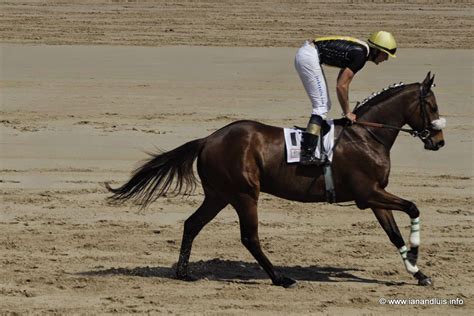 Horse racing on the beach in Ribadesella | Horses, Horse racing, Horse breeds