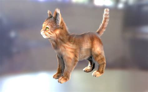 Cat Fur Hair Realistic 3D | CGTrader