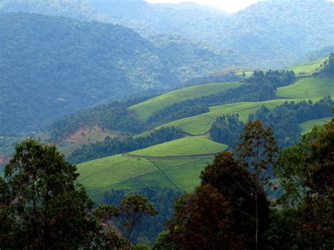 Land of a Thousand Hills, Rwanda - Tripoto