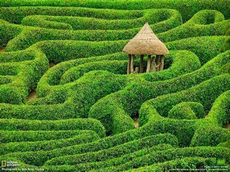 Alluring Planet: Laurel maze at Glendurgan Garden. Cornwall, England