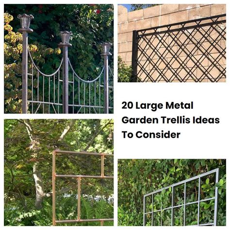 20 Large Metal Garden Trellis Ideas To Consider | SharonSable