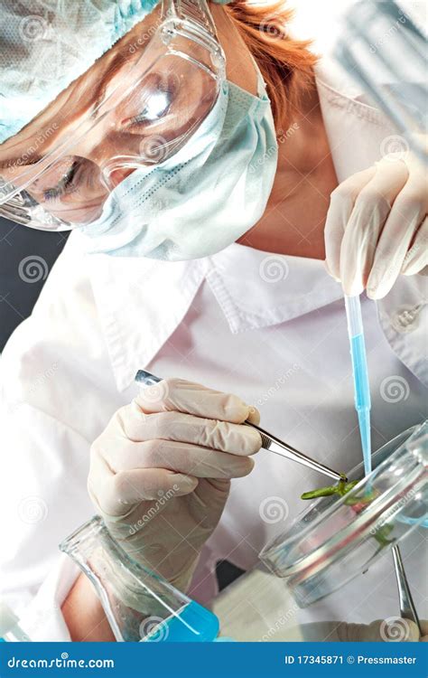 Biological experiment stock image. Image of laboratory - 17345871