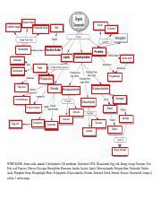 Concept Map for Biomolecules- COMPLETED - Nitrogen Base 5 carbon sugar Nucleotide Insulin DNA ...