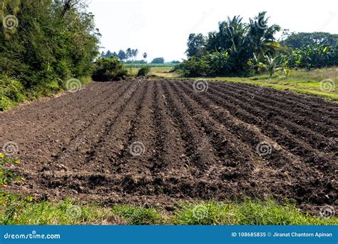 The Soil is Preparing for Plant Stock Image - Image of land, nature ...