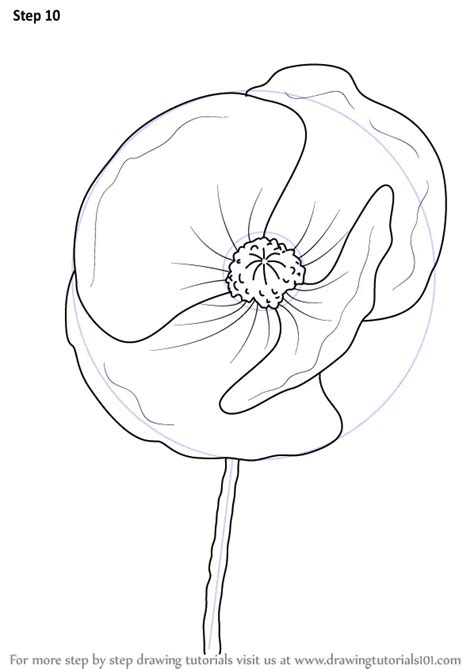 How to Draw Poppy Flower (Poppy) Step by Step | DrawingTutorials101.com