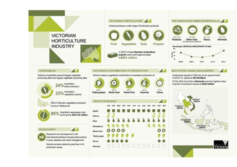 Infographic Reports & Infographic Design