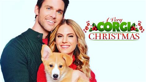 Film Review: A Very Corgi Christmas - Heartland Film Review