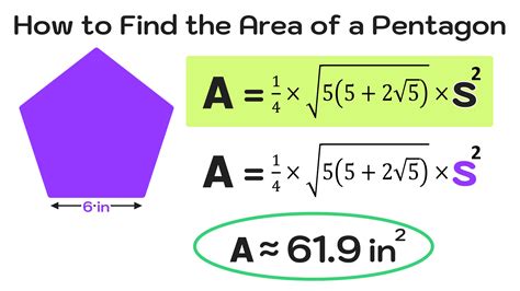 Area of a Pentagon Calculator — Mashup Math