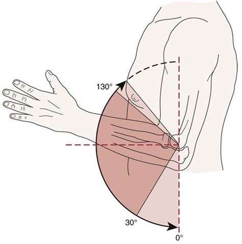 Elbow Range Of Motion: How To Measure & Improve Elbow Movement