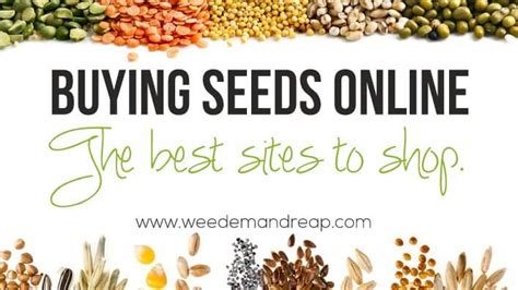 Buying Seeds Online: The Best Websites - Weed 'em & Reap