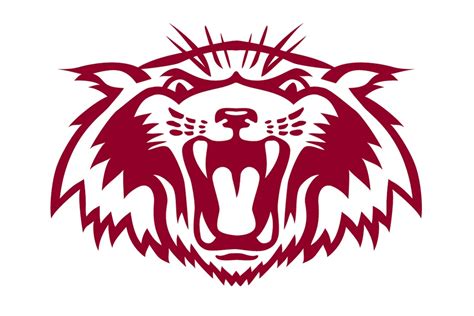 Plano Wildcats | Texas HS Logo Project