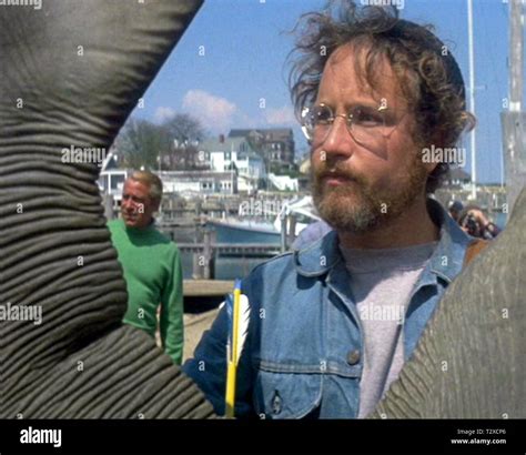 RICHARD DREYFUSS, JAWS, 1975 Stock Photo - Alamy