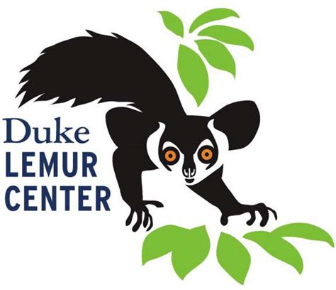 Duke Lemur Center - Lemur Conservation Network